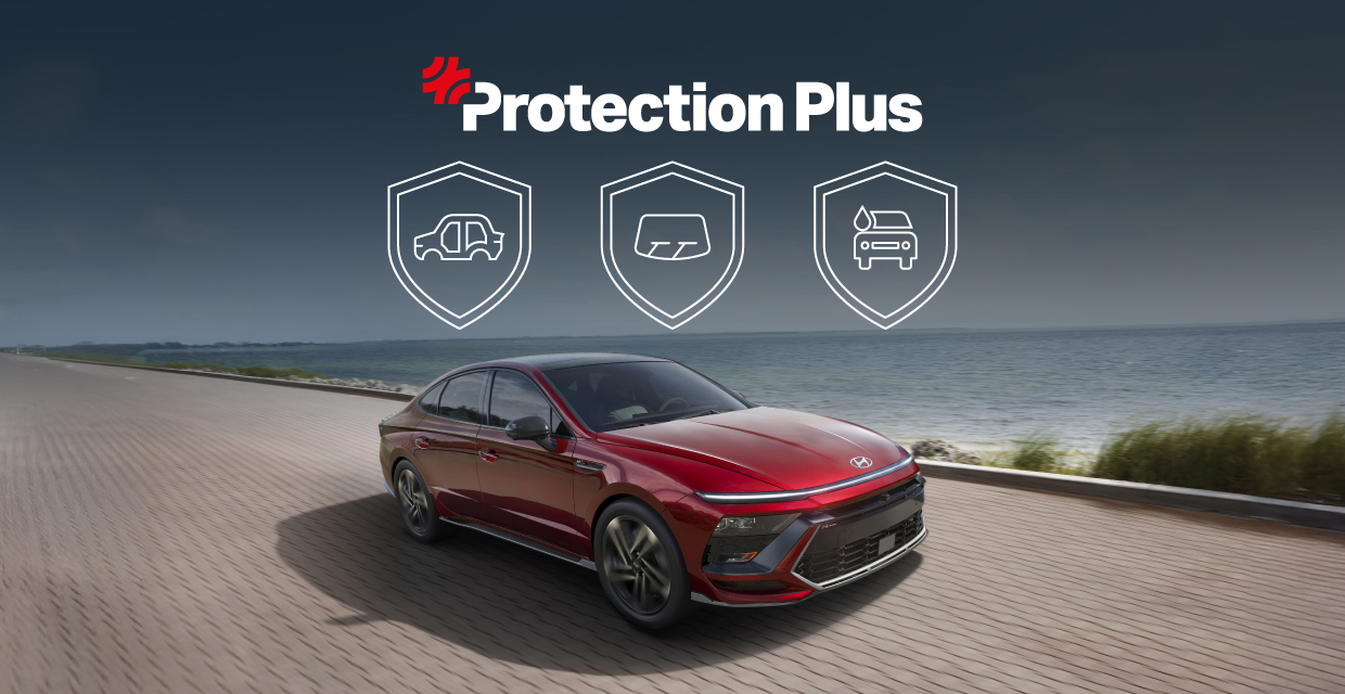 Protection Plus